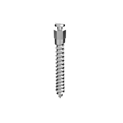 Имплантат Teмплант (Templant Implant)